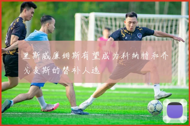 里斯威廉姆斯有望成为科纳特和乔戈麦斯的替补人选